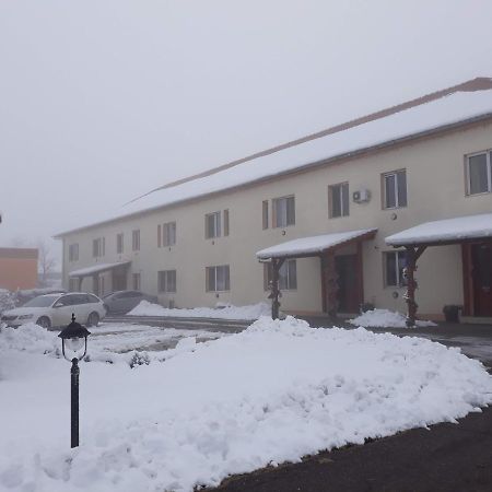 Vila Zoppas Inn Sînnicolau Mare Exterior foto
