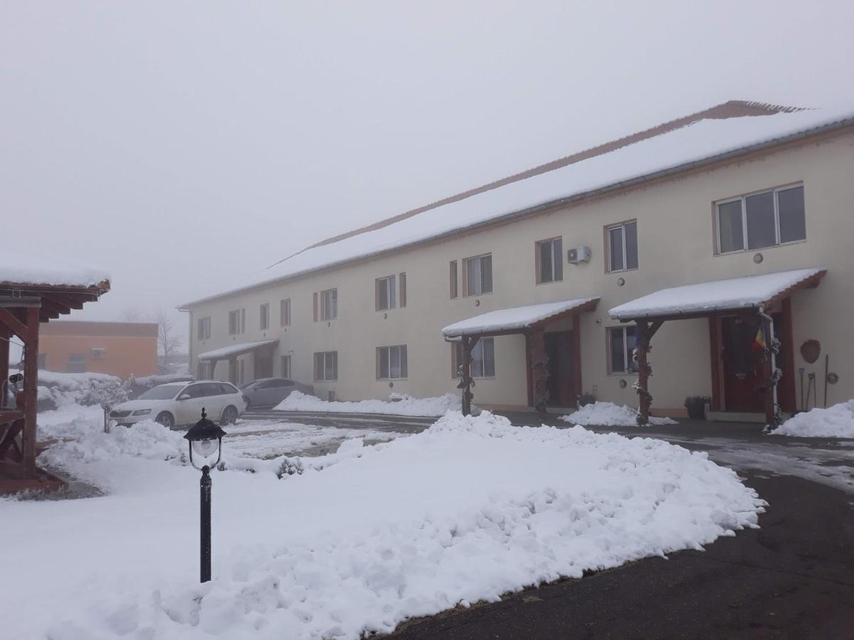 Vila Zoppas Inn Sînnicolau Mare Exterior foto