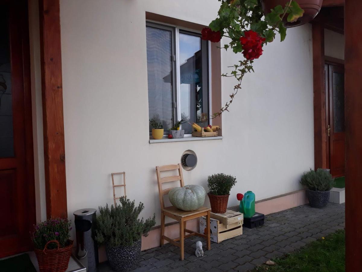 Vila Zoppas Inn Sînnicolau Mare Exterior foto
